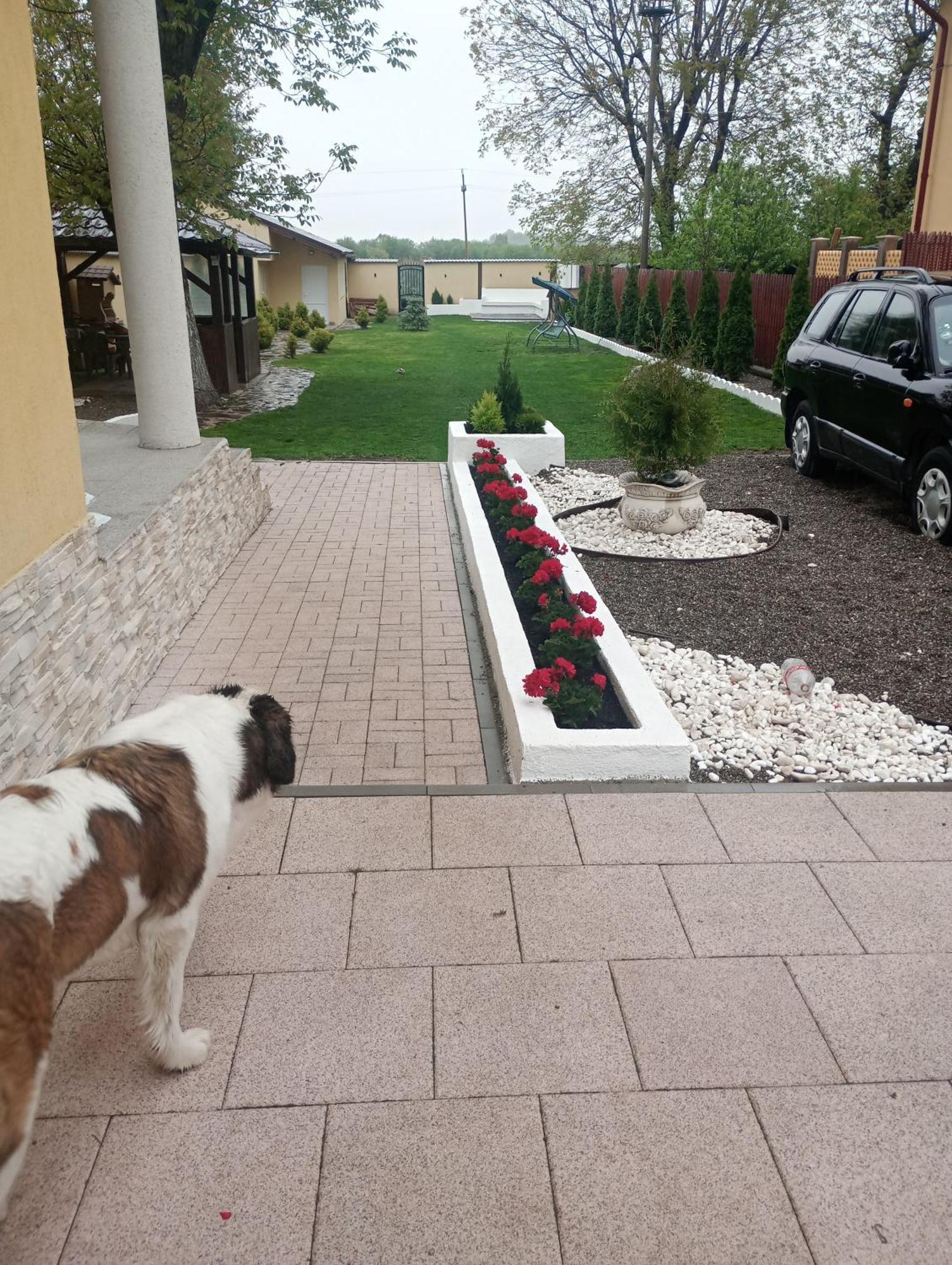 Izabella Guest House Săcele Exterior foto