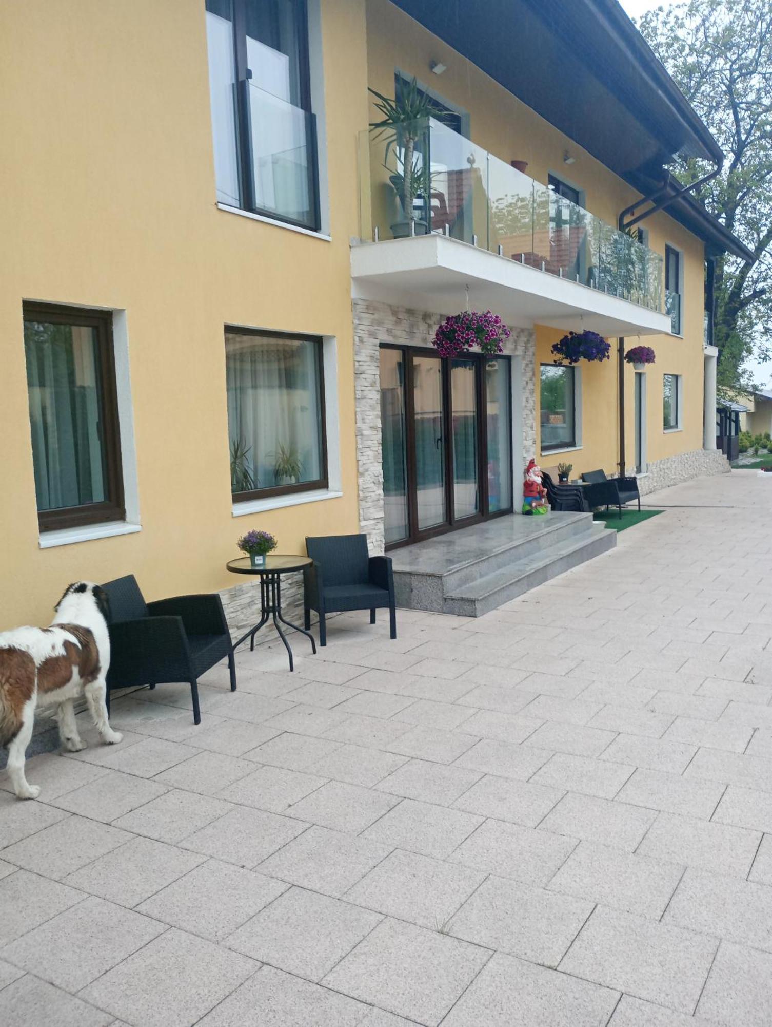 Izabella Guest House Săcele Exterior foto
