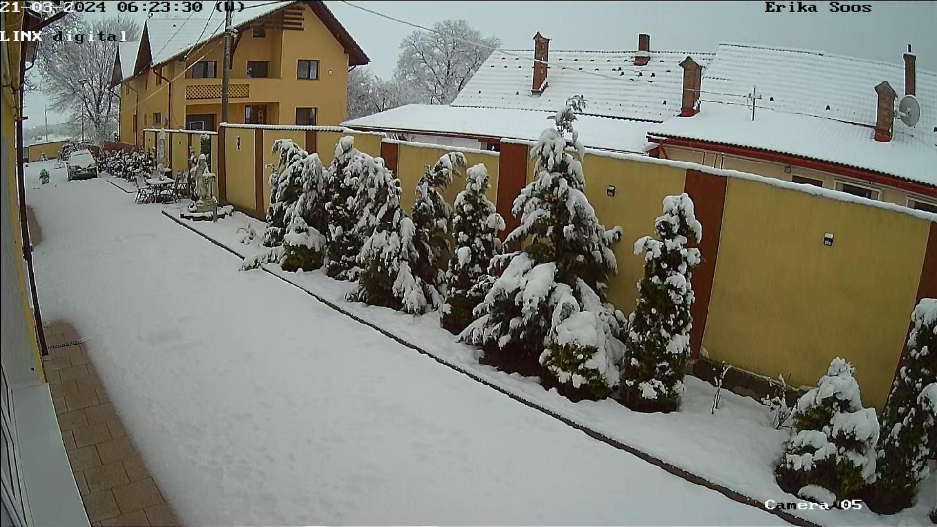 Izabella Guest House Săcele Exterior foto
